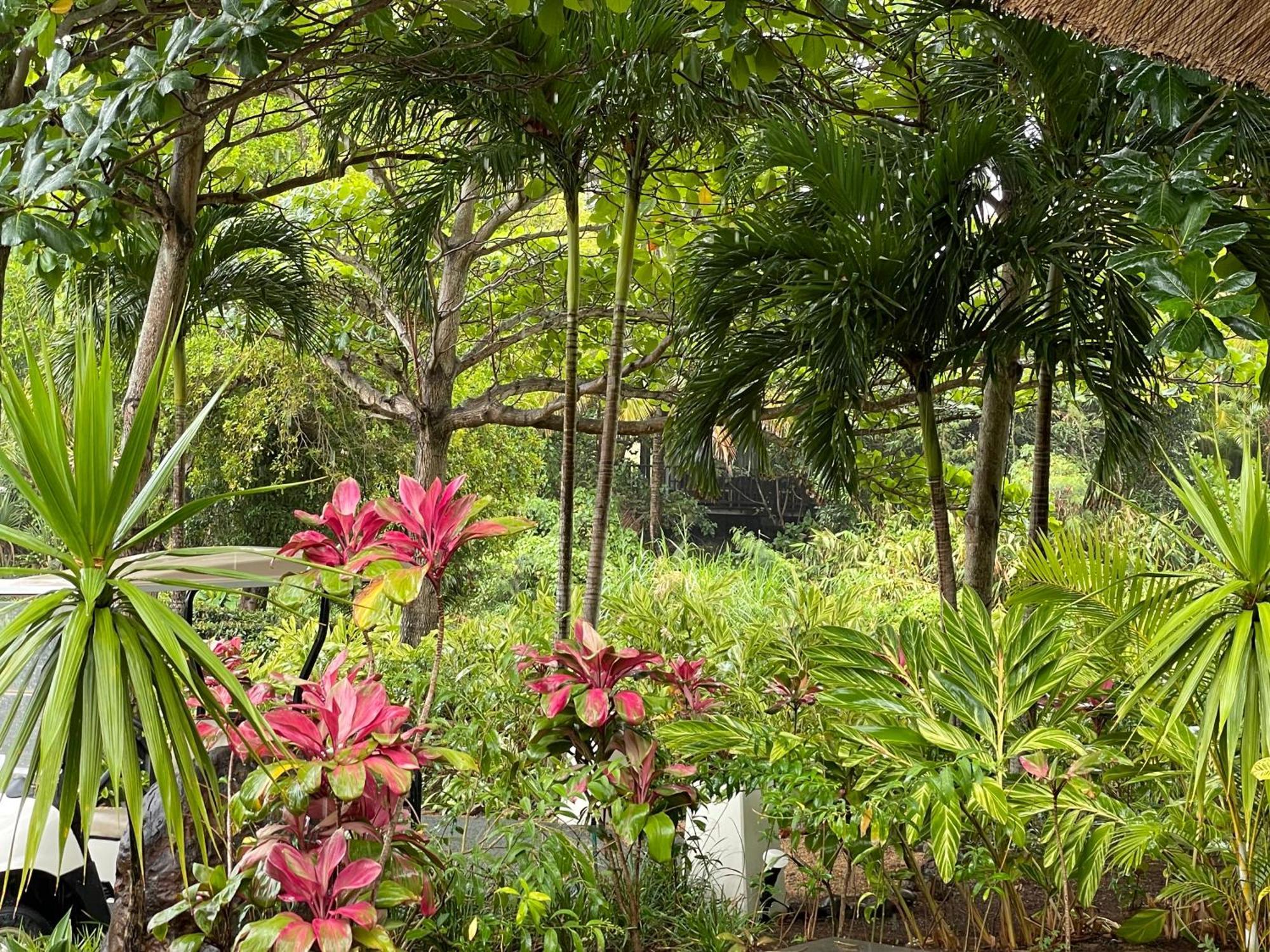Villa Serenité Bel-Ombre Esterno foto