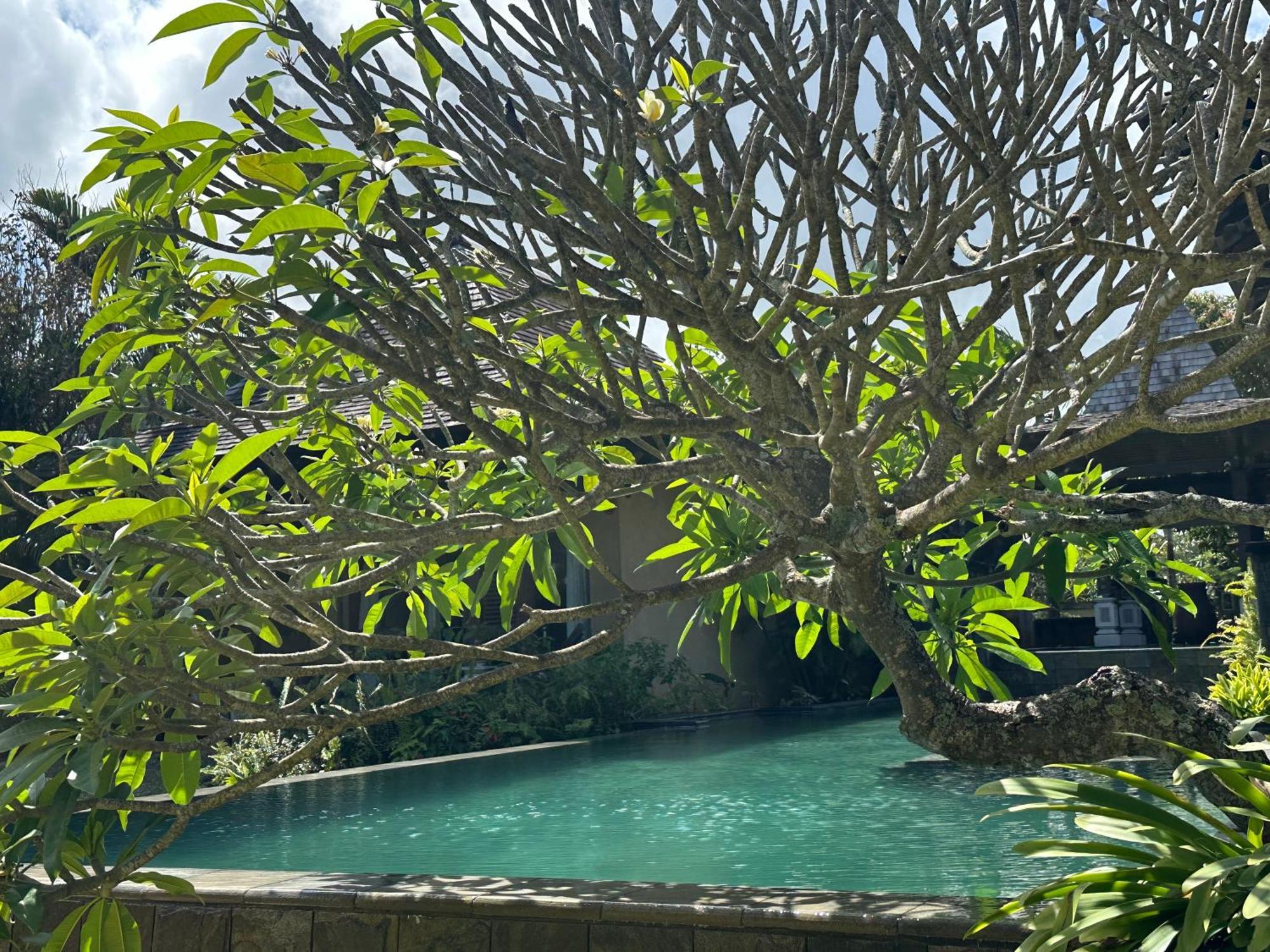 Villa Serenité Bel-Ombre Esterno foto