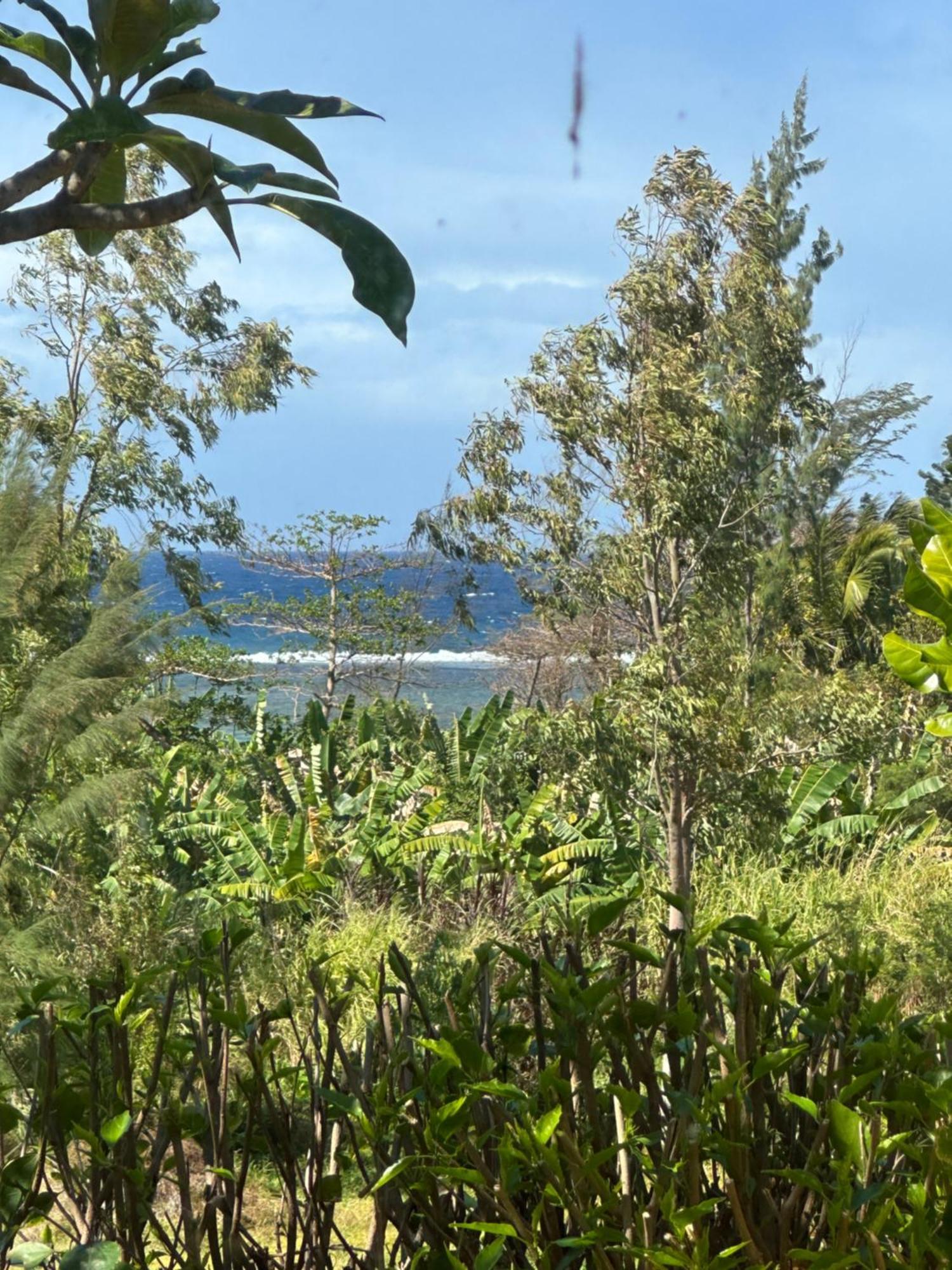Villa Serenité Bel-Ombre Esterno foto