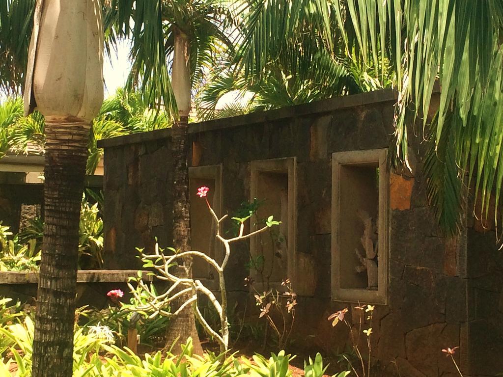 Villa Serenité Bel-Ombre Esterno foto